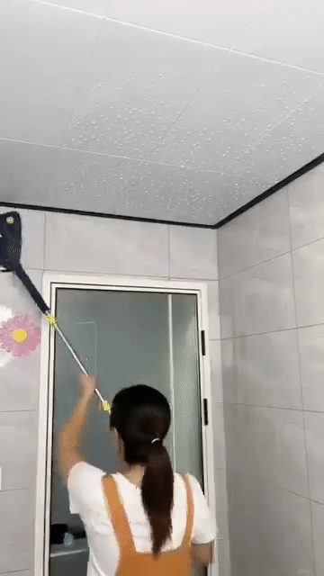 Ceiling Cleaning